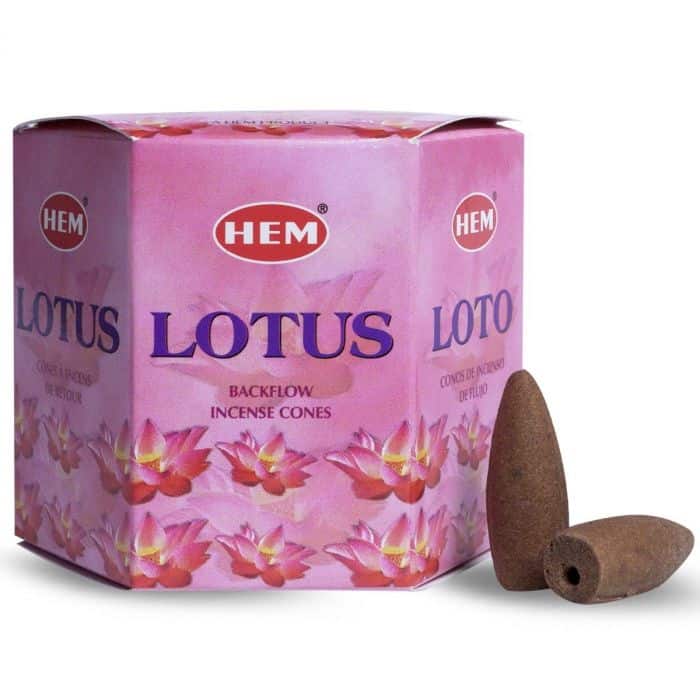 Backflow kegels Lotus